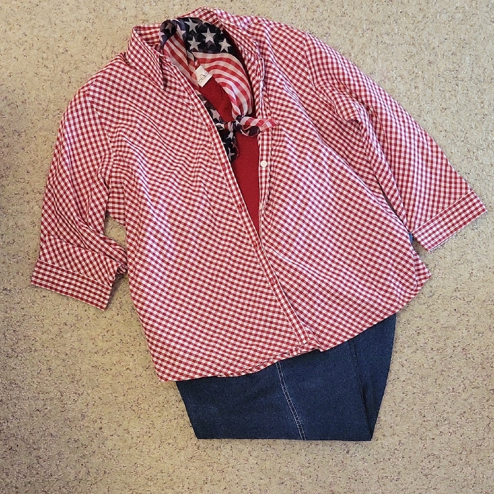 Van Heusen Red Gingham Shirt